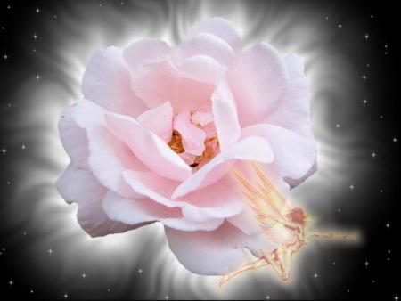 fleur